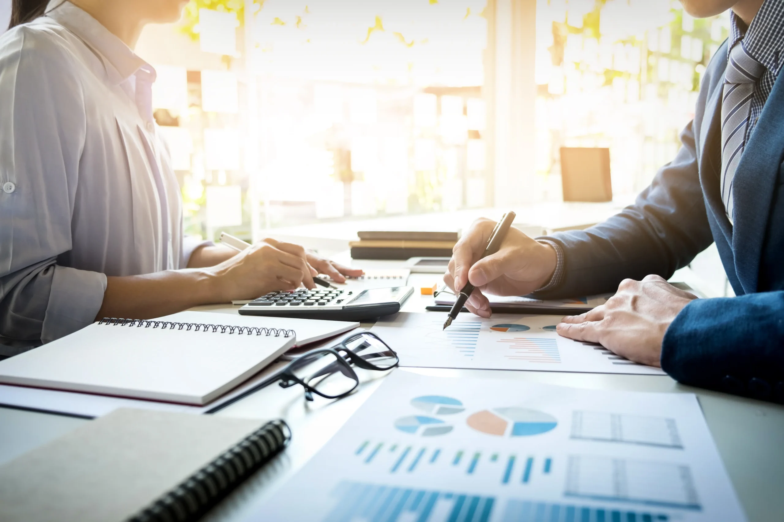 Economic Evaluation And Advisory Services